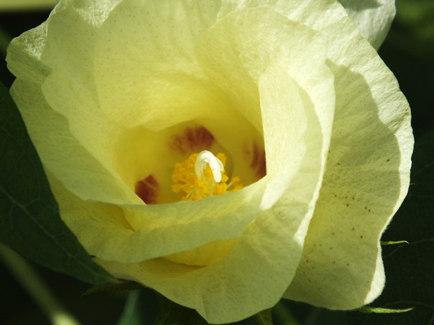 DSCF0195