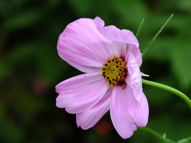 DSCF0163