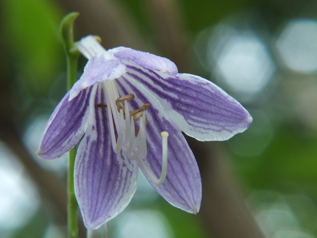 DSCF0099