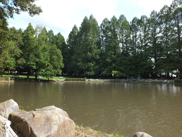 DSCF0256