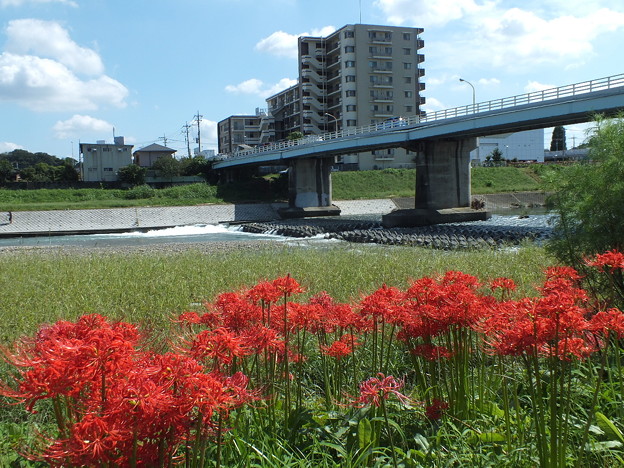 DSCF0464