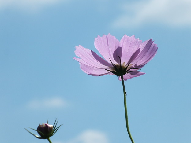 DSCF0247