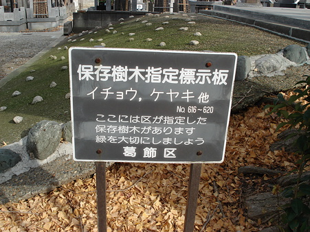 保存樹木指定標示板