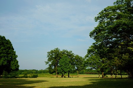 水元公園