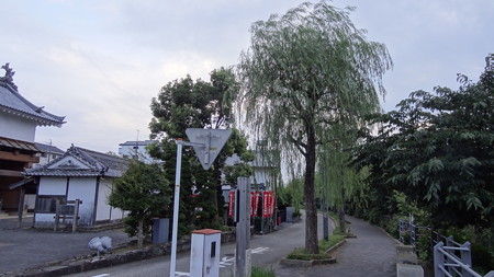 DSC01531