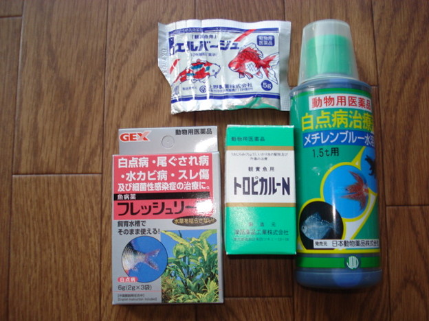 20110813 熱帯魚の薬