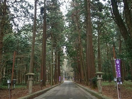 雰囲気のある参道。