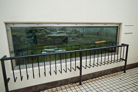 ichikawa120504005