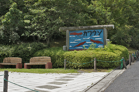 asa110805002