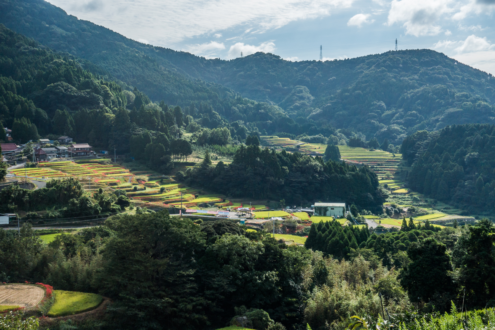 江里山全景
