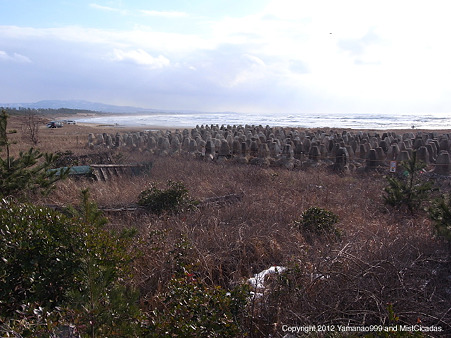 2012年2月12日、一ノ宮海岸