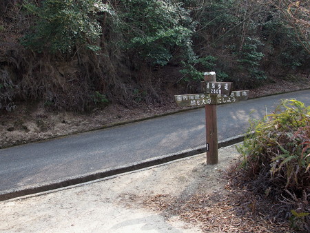 大久野島展望台へ続く道