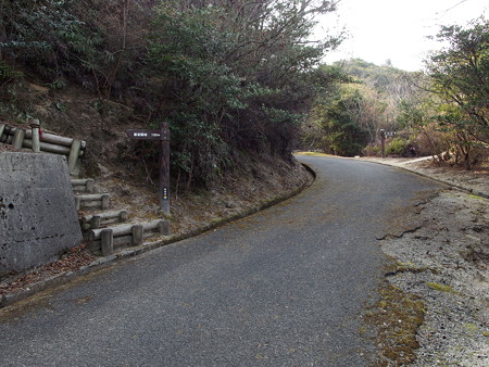 大久野島展望台への道