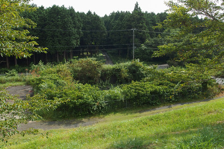 大渕公園の調整池