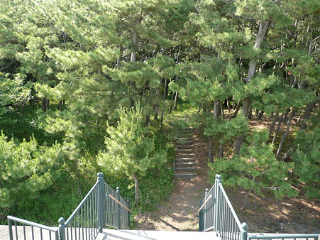 金毘羅神社