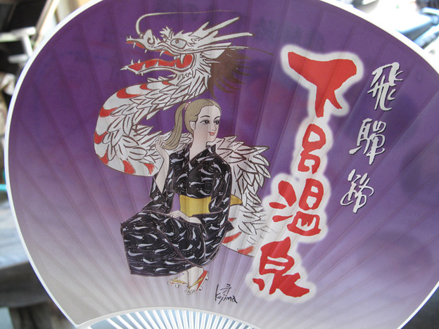 IMG_9500 下呂温泉 写真: IMG_9500 下呂温泉
