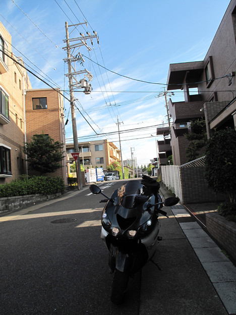 IMG_9614 絶好の日和 写真: IMG_9614 絶好の日和