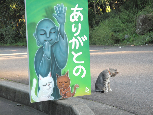 IMG_9699 見送り~ 写真: IMG_9699 見送り~