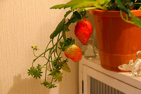 20120202_3792