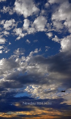 201408_sola