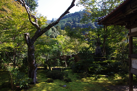西明寺庭園
