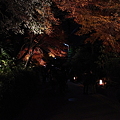 Photos: 京都・嵐山花灯路