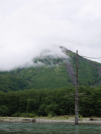 P1000229