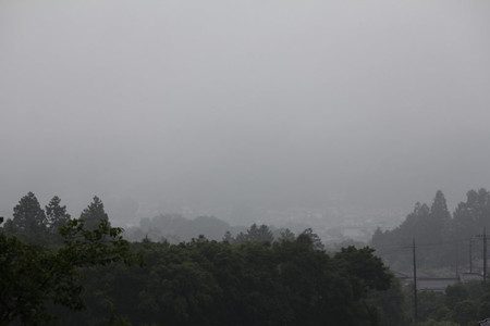 雨の朝