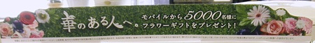 2011年12月13日_PC1310121