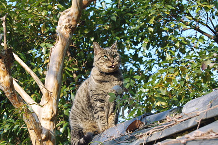2012年01月09日_DSC_0432