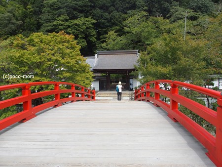 室生寺 P9210015