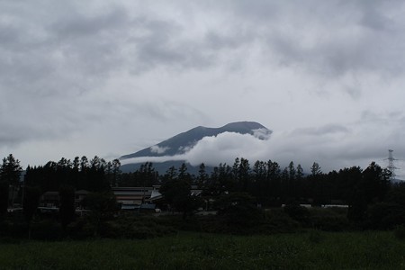 IMG_7949