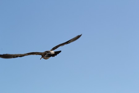 IMG_8149