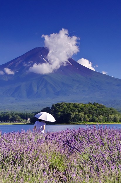 ２０１５富士山麓 夏３４ 河口湖 夏景色 照片共享页面 撮影蔵