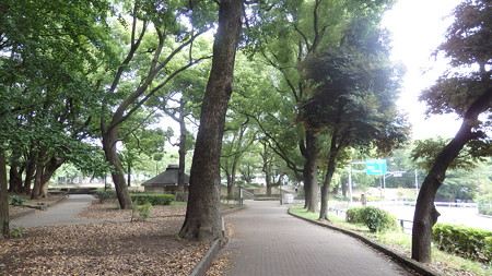 20150814東京散策 (5)