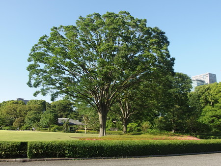 P6042354