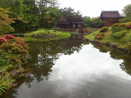 P6062595 e
