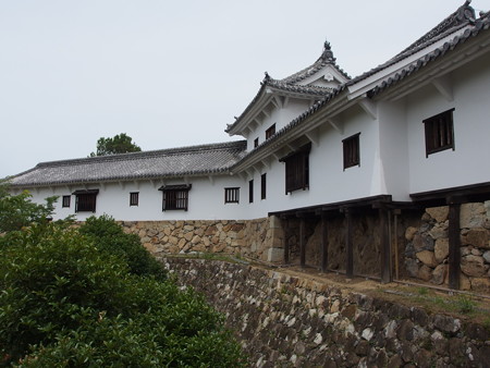 P6072741