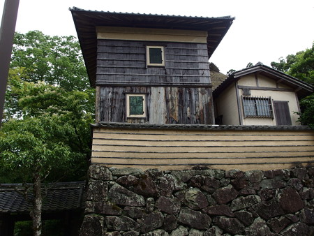 P6072779