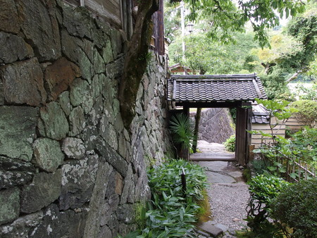 P6072786
