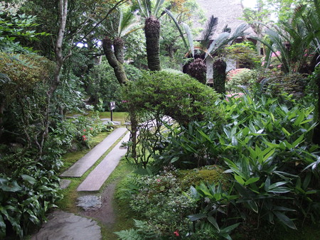 P6072805