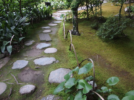 P6072808