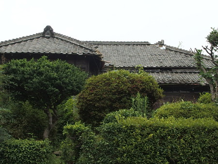 P6213075