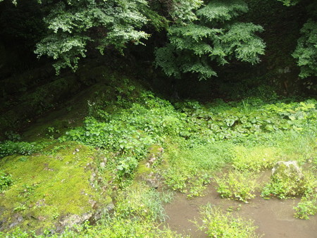 P6142920