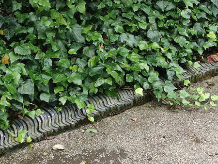 P7073334