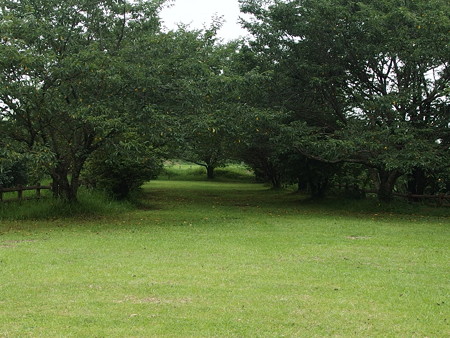P7073361