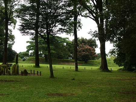 P7073377