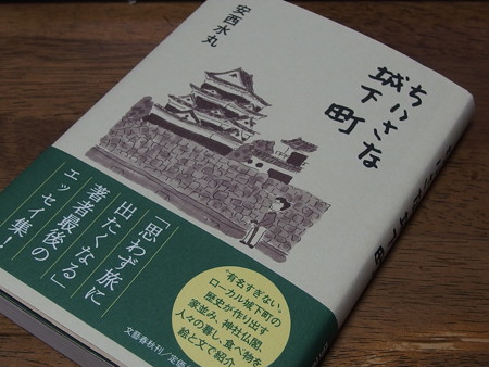 P7093383