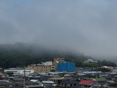 P7143416