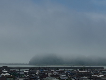 P7143419